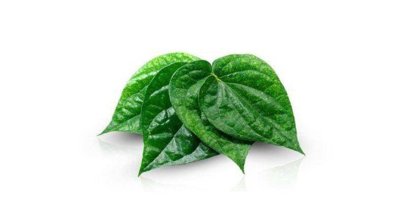 Pinterest.com/Rizman_store